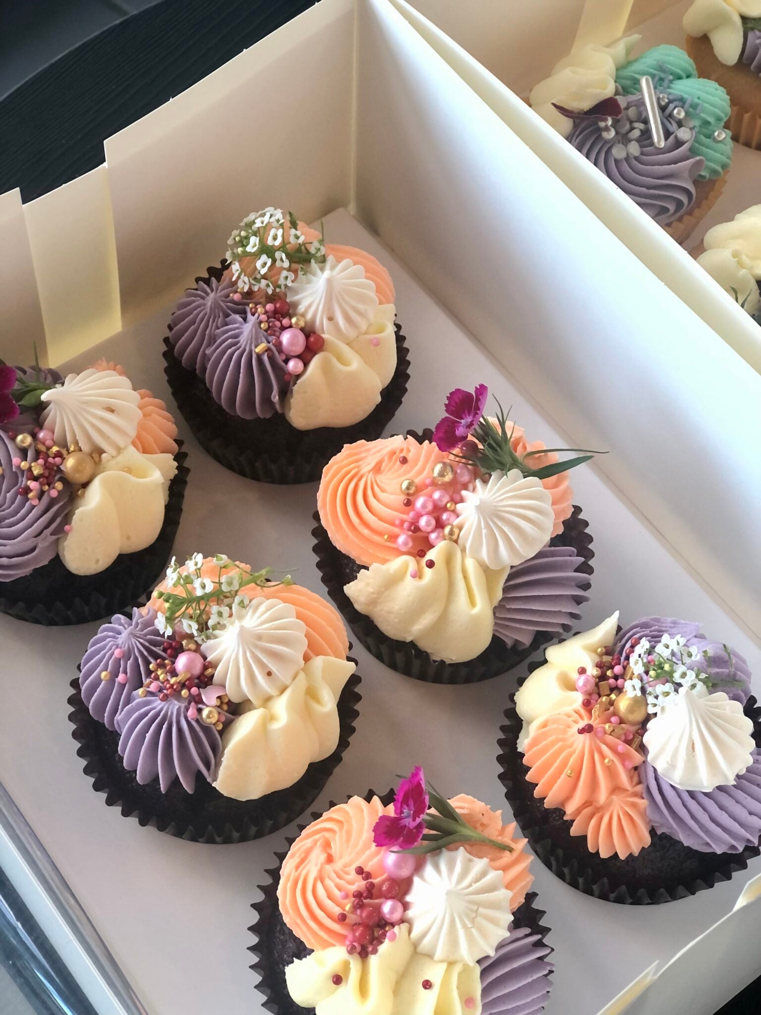 Premium cupcakes